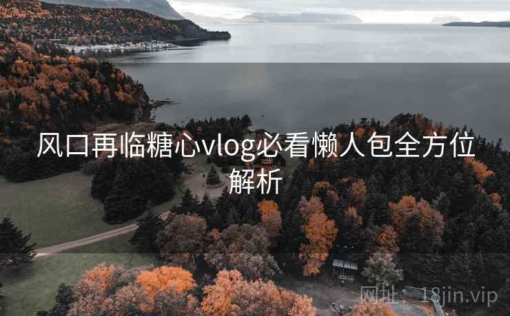 风口再临糖心vlog必看懒人包全方位解析