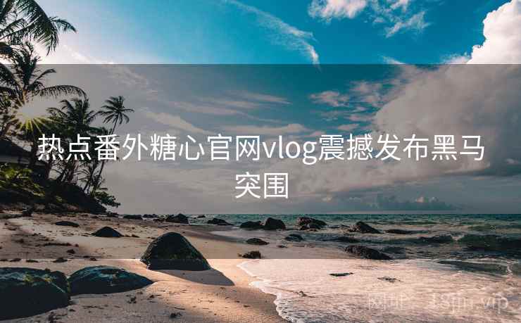 热点番外糖心官网vlog震撼发布黑马突围  第2张