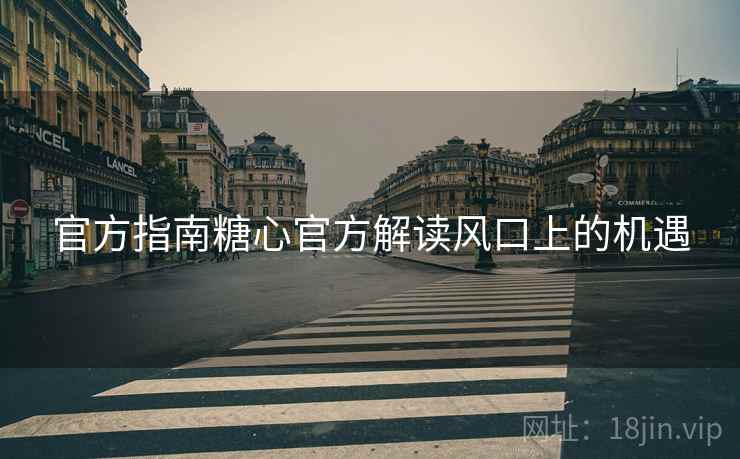 官方指南糖心官方解读风口上的机遇