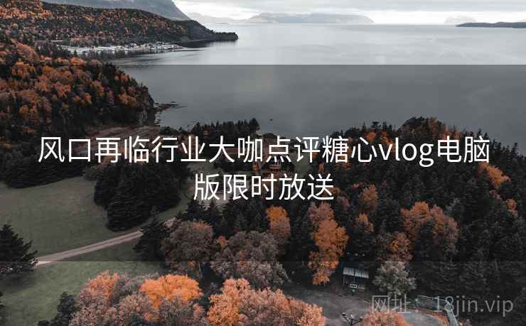 风口再临行业大咖点评糖心vlog电脑版限时放送