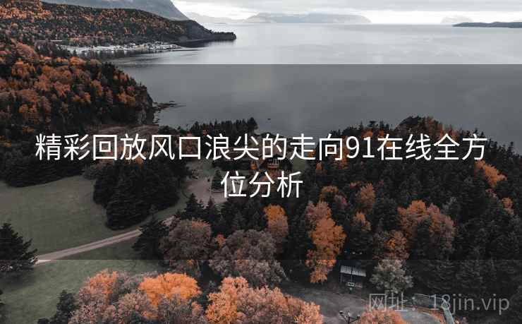 精彩回放风口浪尖的走向91在线全方位分析