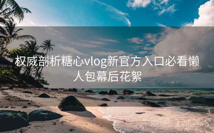 权威剖析糖心vlog新官方入口必看懒人包幕后花絮  第1张