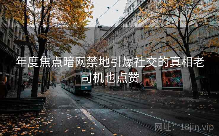 年度焦点暗网禁地引爆社交的真相老司机也点赞