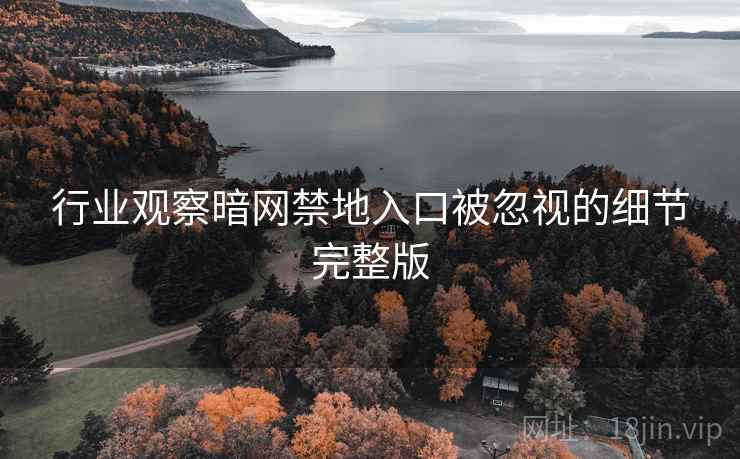 行业观察暗网禁地入口被忽视的细节完整版  第2张