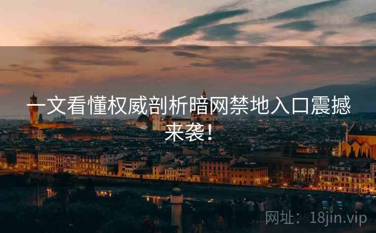 一文看懂权威剖析暗网禁地入口震撼来袭！