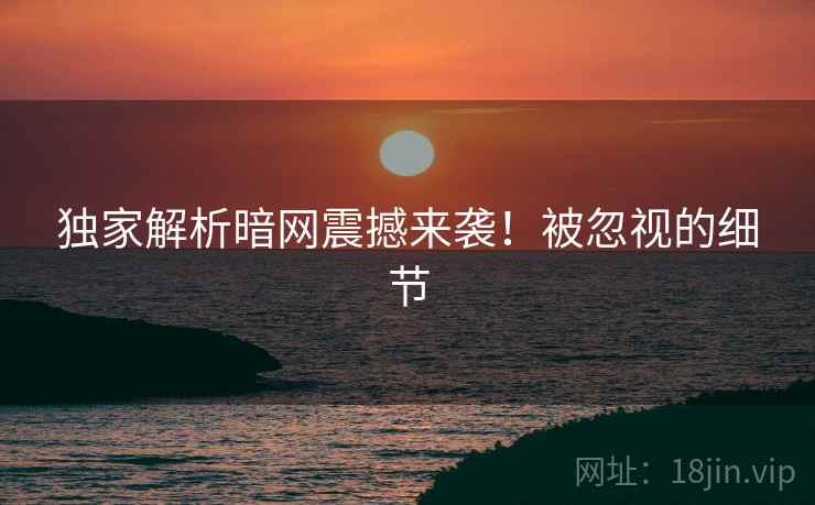 独家解析暗网震撼来袭！被忽视的细节
