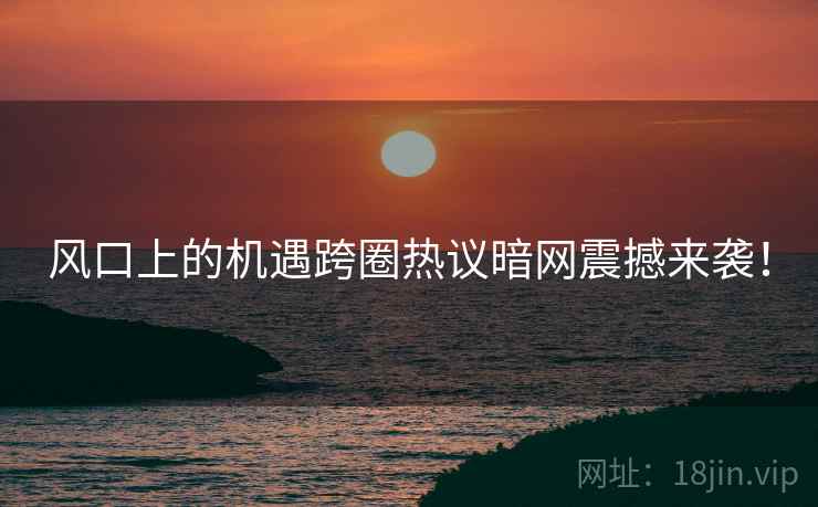 风口上的机遇跨圈热议暗网震撼来袭！