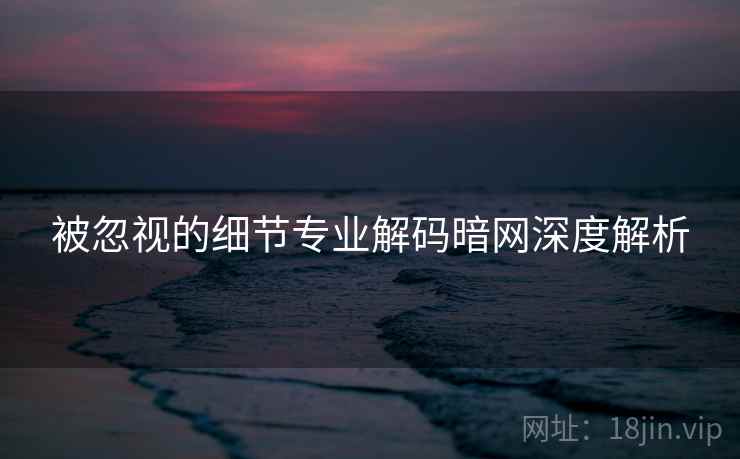 被忽视的细节专业解码暗网深度解析