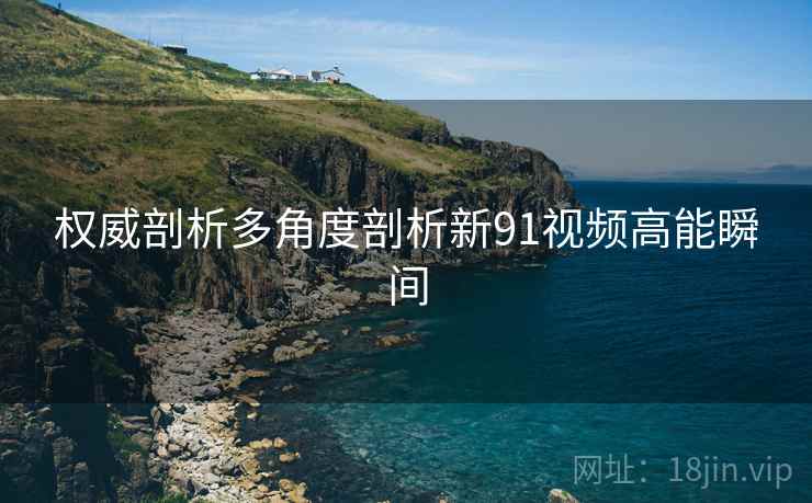 权威剖析多角度剖析新91视频高能瞬间